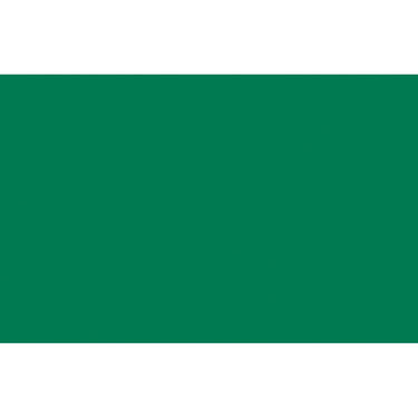 LQX SPRAY PAINT SWATCHES - 450 - EMERALD GREEN