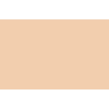 LQX SPRAY PAINT SWATCHES - 330 - RAW SIENNA 7
