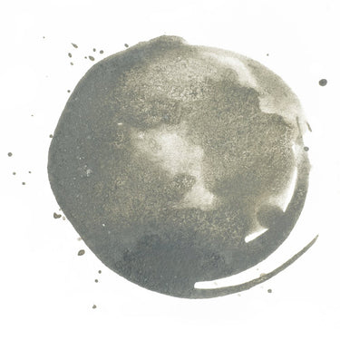 LQX ACRYLIC INK 599 NEUTRAL GRAY 5 [WEBSITE SWATCH]