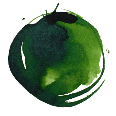 LQX ACRYLIC INK 315 SAP GREEN PERMANENT [WEBSITE SWATCH]