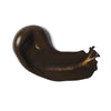 professional-heavy-body-acrylic-transparent-burnt-umber