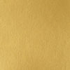 professional-soft-body-acrylic-iridescent-bright-gold