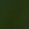 professional-soft-body-acrylic-sap-green-permanent