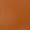 professional-soft-body-acrylic-raw-sienna
