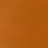 professional-soft-body-acrylic-transparent-raw-sienna