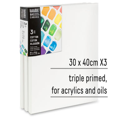 LQX BASICS CANVAS 30X40CM X3 887452048398 [KEY POINTS]