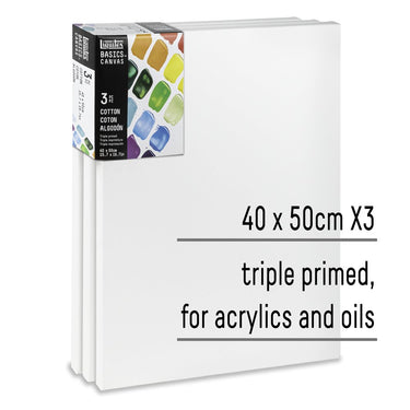 LQX BASICS CANVAS 40X50CM X3 887452048411 [KEY POINTS]