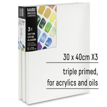 LQX BASICS CANVAS 30X40CM X3 887452048398 [KEY POINTS]