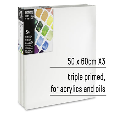 LQX BASICS CANVAS 50X60CM X3 887452048428 [KEY POINTS]