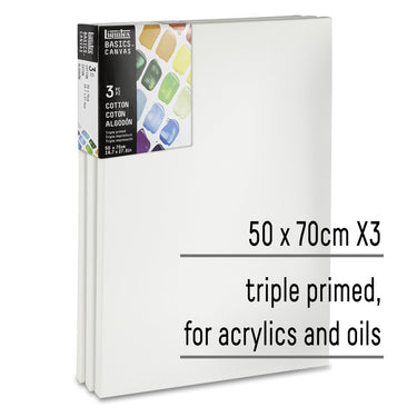 LQX BASICS CANVAS 50X70CM X3 887452048435 [KEY POINTS]